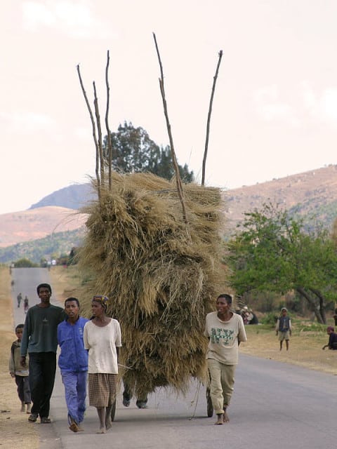 Reisverslag Madagaskar