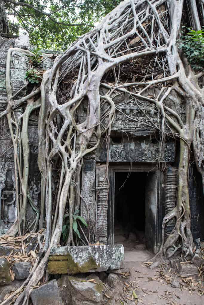 Angkor wat