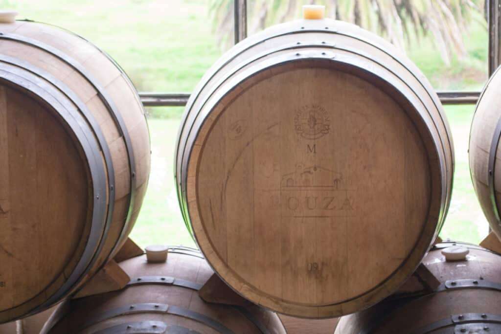 Bouza Bodega Uruguay - Uruguayaanse wijnboer
