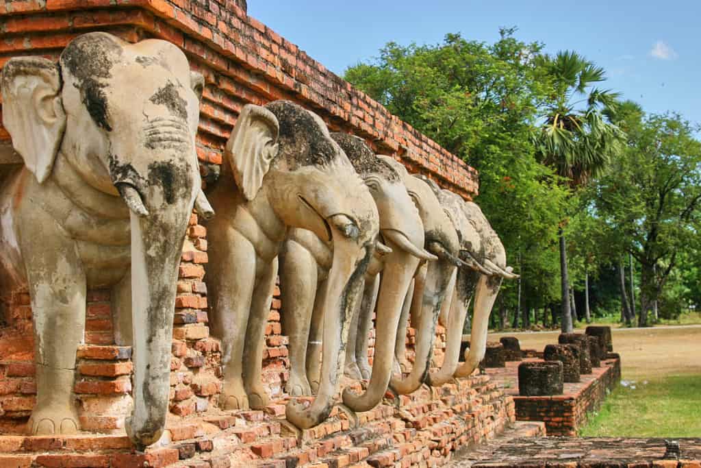 Olifanten in Sukhothai