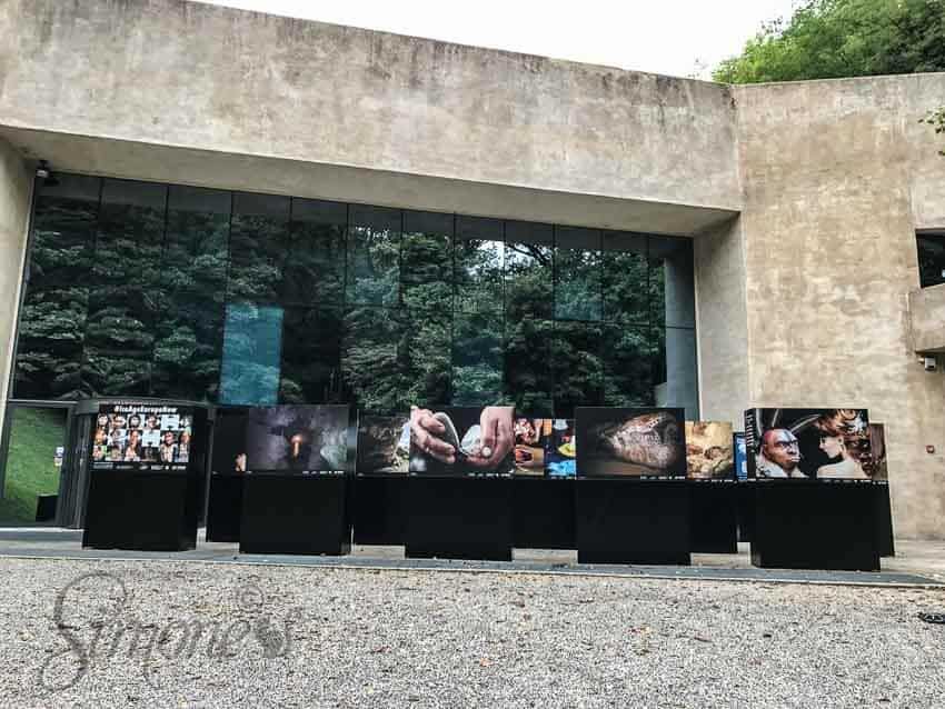 Museum van de Neanderthals