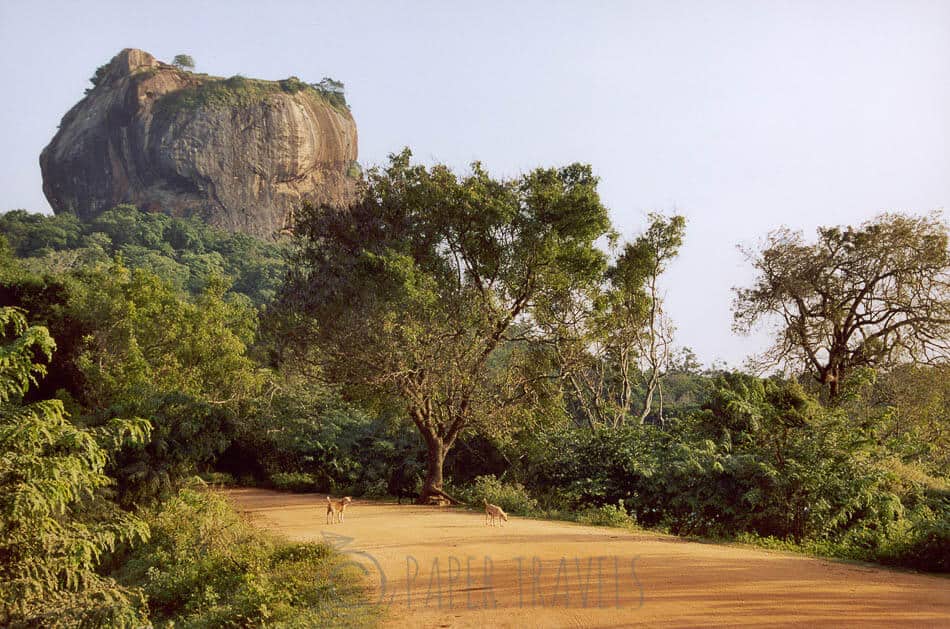 The lion rock, Sri Lanka