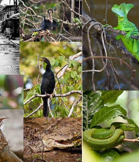 Tien dingen om niet te missen in Costa Rica