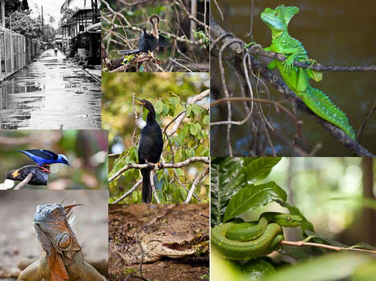 Tien dingen om niet te missen in Costa Rica