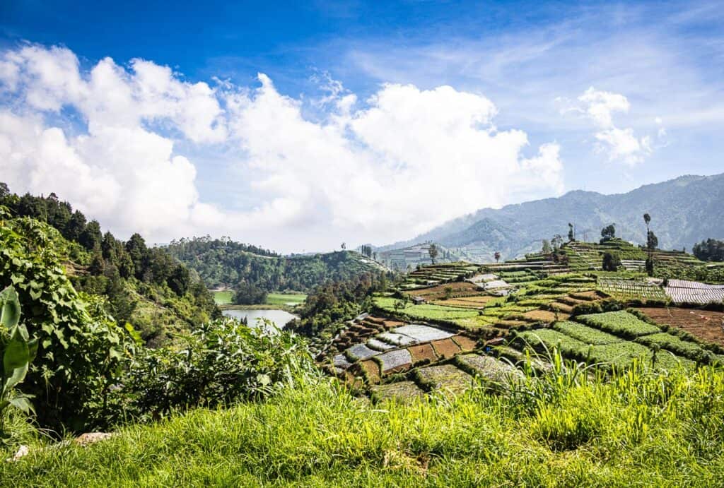 Dieng plateau
